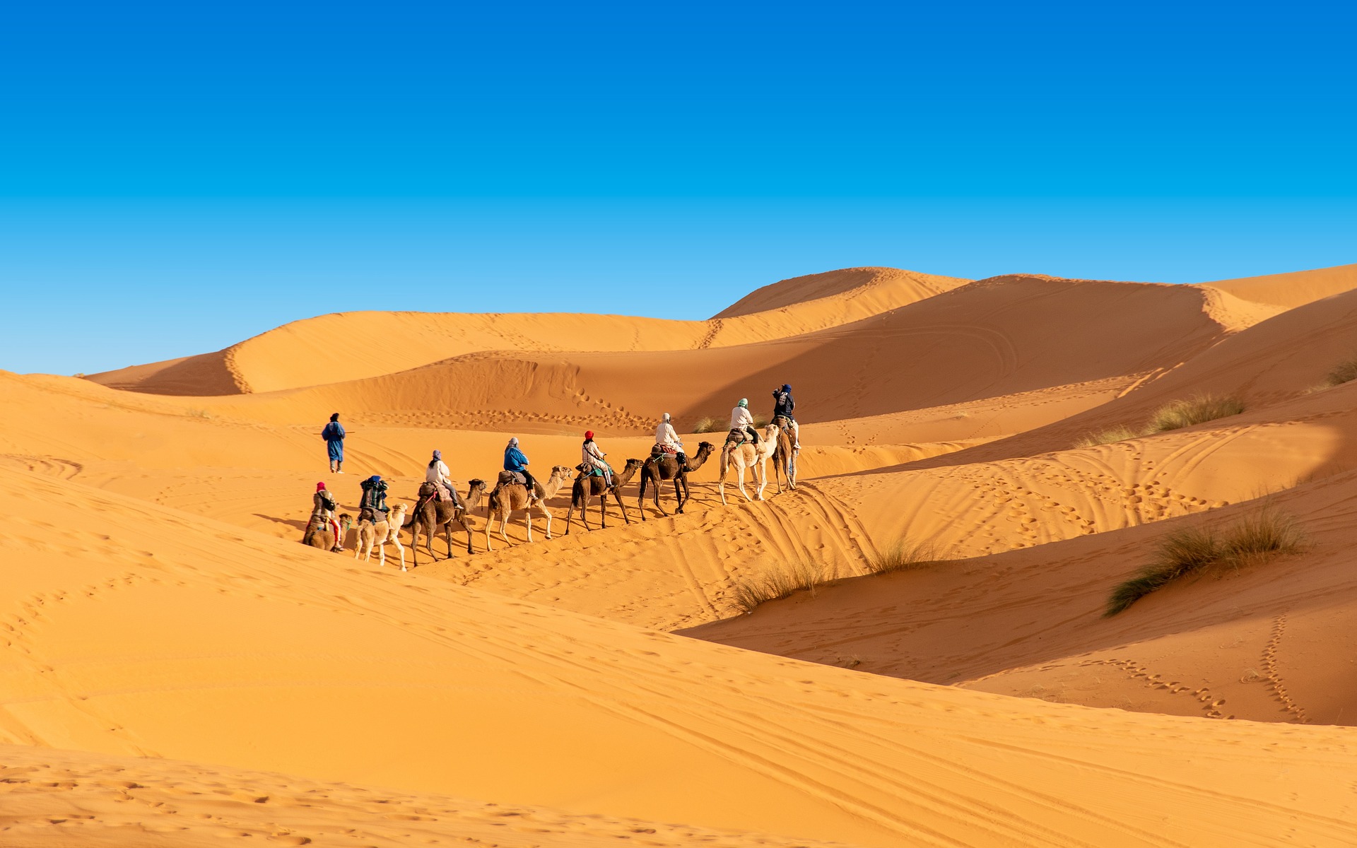 15 days Grand Morocco tour from Casablanca